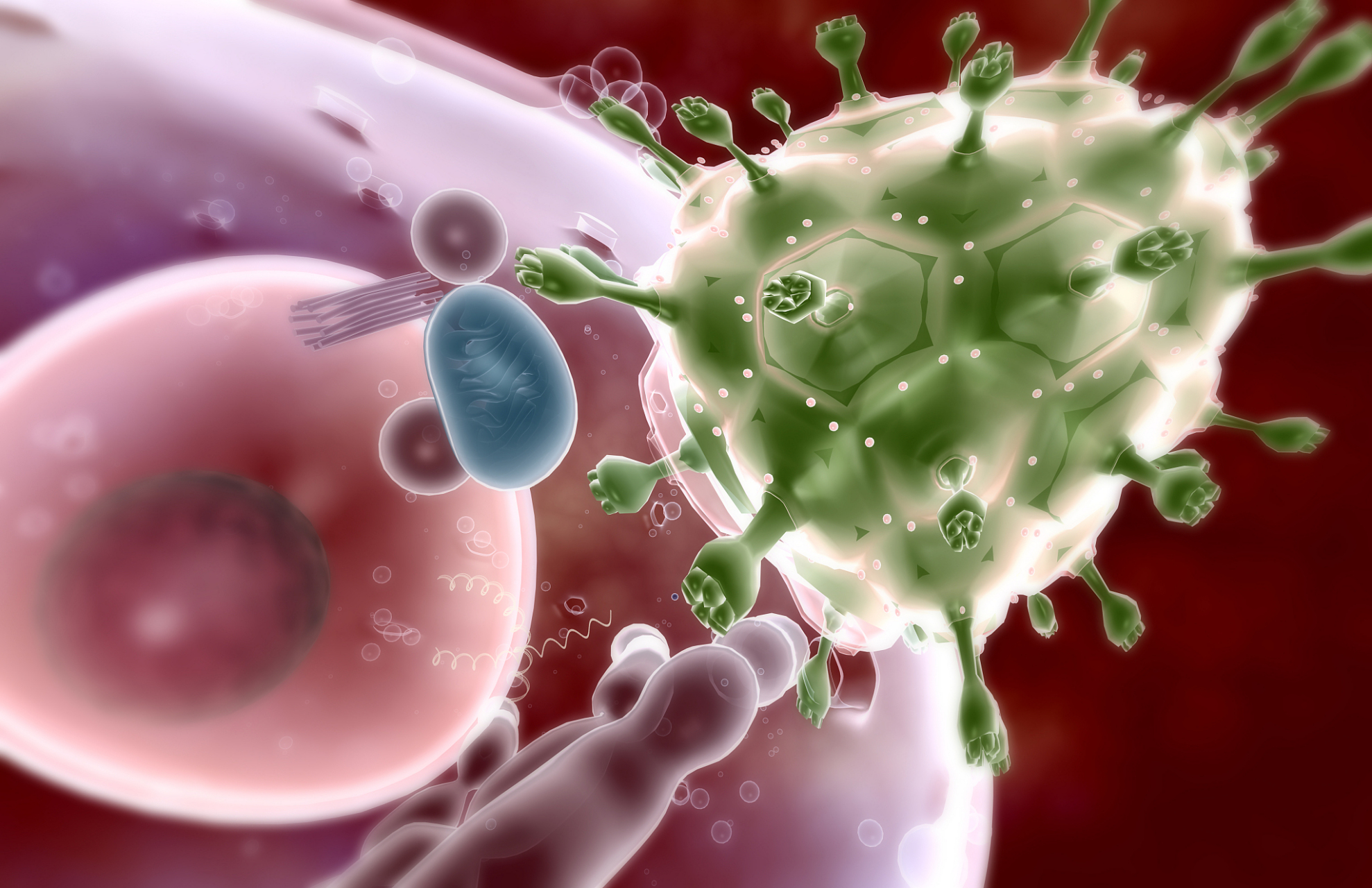 【AAV在心脏领域的研究应用】IF=37.8I 针对心肌靶向AAV肝脏泄漏问题的新策略—北大郭宇轩研究员团队揭示